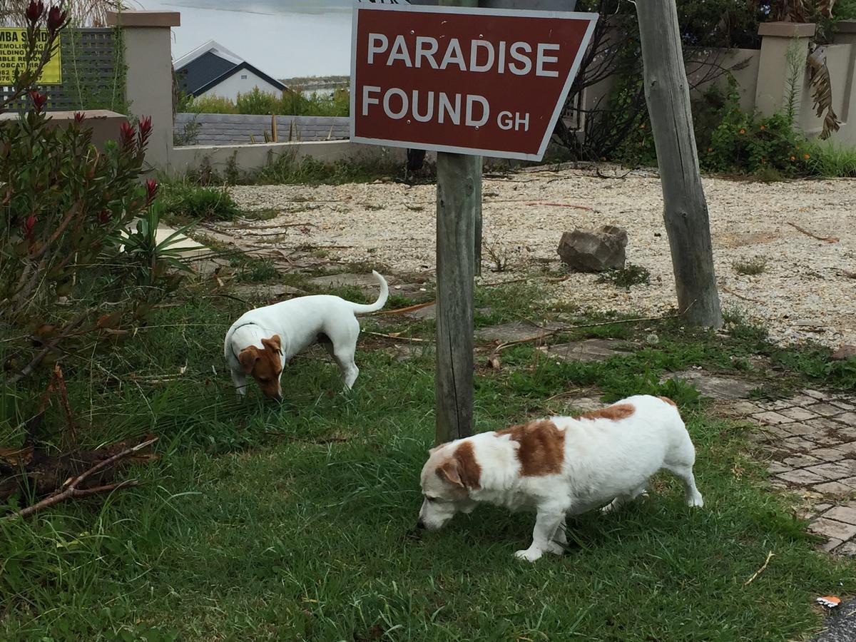 Paradise Found Knysna Kültér fotó